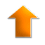 hurtownia jajek